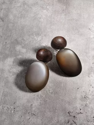 Moonstone and Wood Earrings